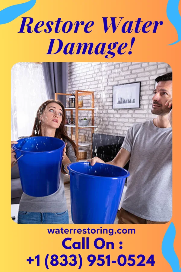 water restoration Quality Damage Recovery Ackley