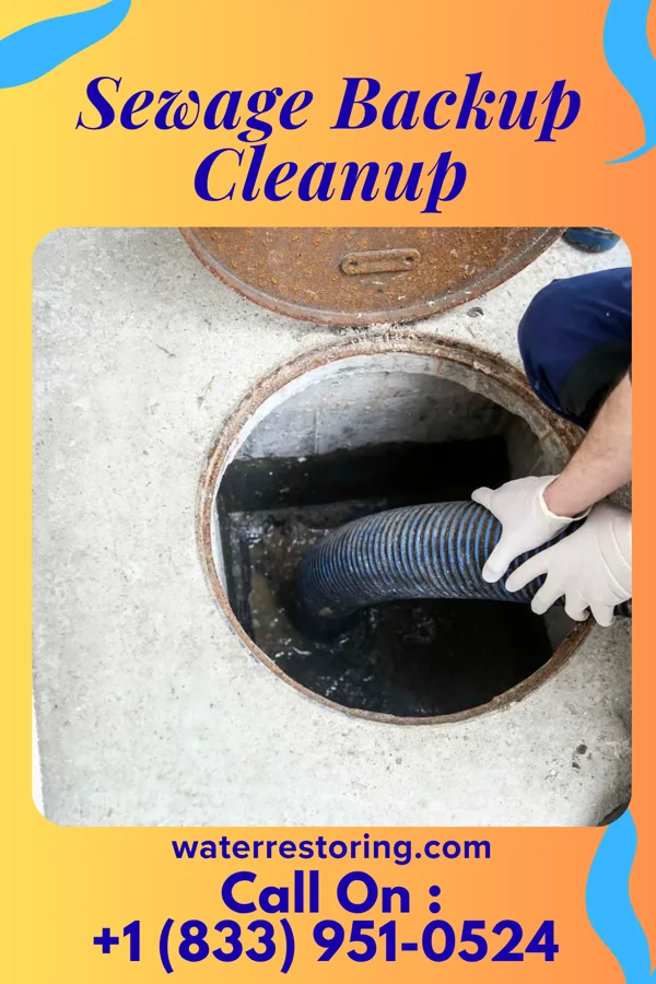 Sewage Backup Cleanup in Ackley, IA